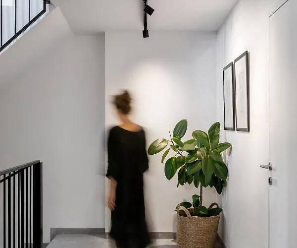 Bridges Велико-Тырново